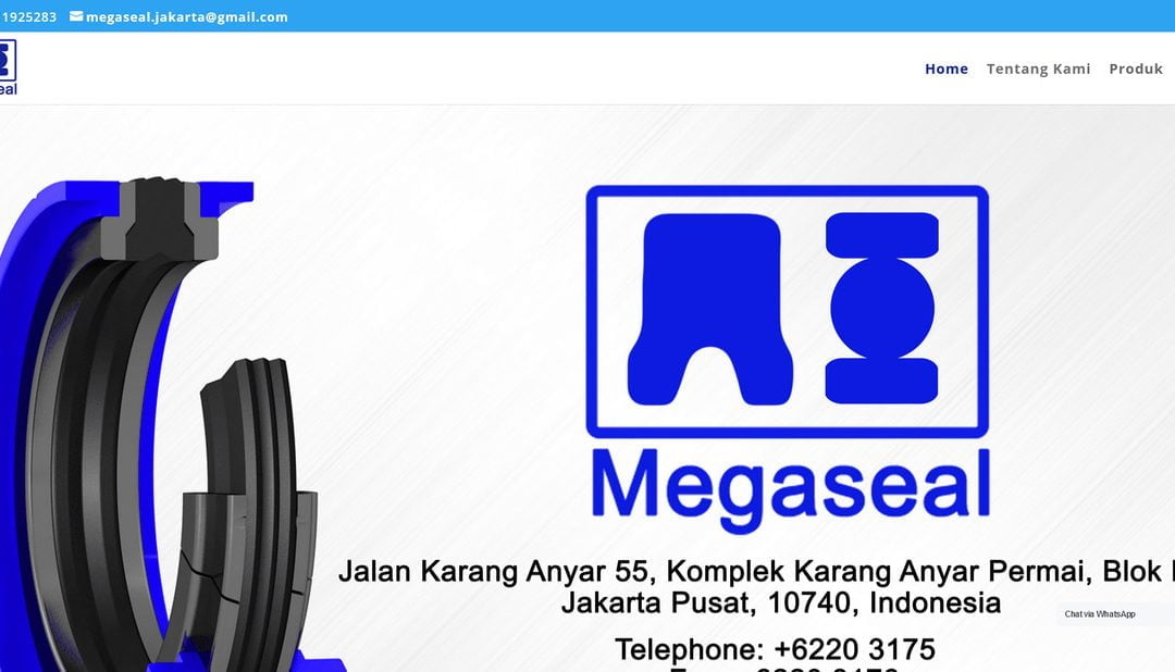 Megaseal Jakarta – Orings & Seals Berkualitas