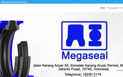 Megaseal Jakarta – Orings & Seals Berkualitas