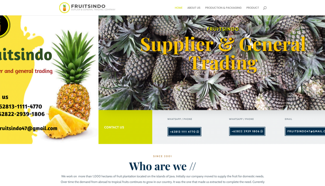 Fruitsindo – Supplier and General Trading